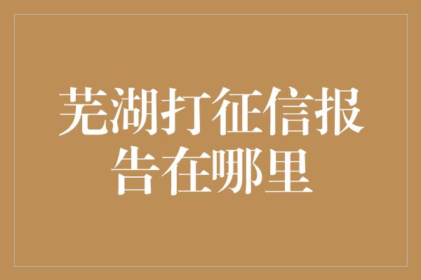 芜湖打征信报告在哪里