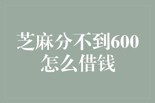 芝麻分不到600怎么借钱