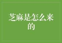 嘿，你知道吗？芝麻原来是这样来的！