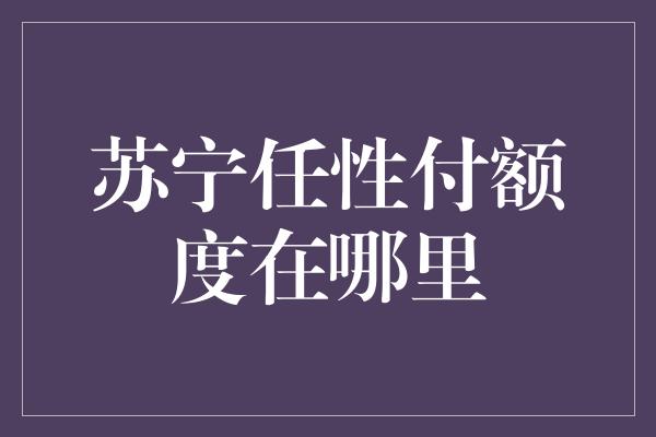 苏宁任性付额度在哪里