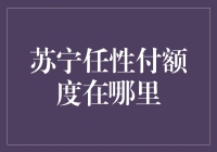 苏宁任性付额度去哪儿啦？