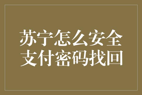 苏宁怎么安全支付密码找回