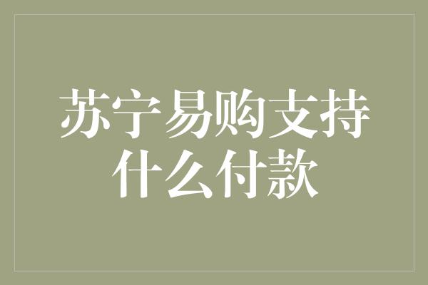 苏宁易购支持什么付款