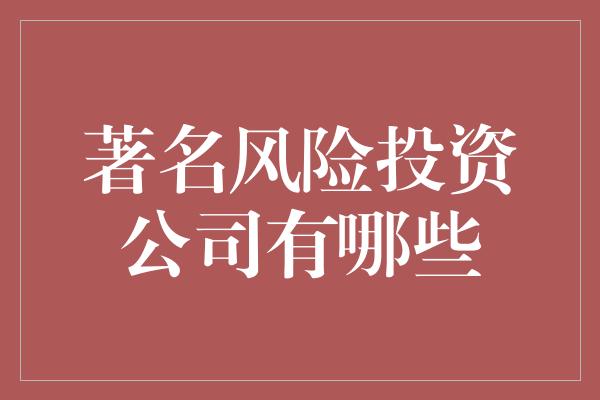 著名风险投资公司有哪些