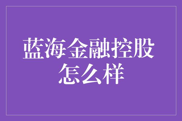 蓝海金融控股 怎么样