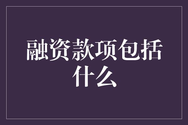 融资款项包括什么