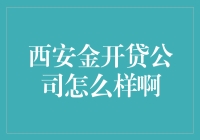 金开贷？还是金开骗？——西安小微企业的投资乐章