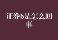 股民的另一个江湖：证券B引发的狂欢与困惑