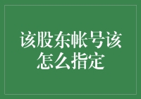 指定股东账号：解锁企业财务透明化的关键步骤