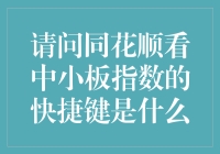 同花顺软件快捷键教程：查看中小板指数的高效方式