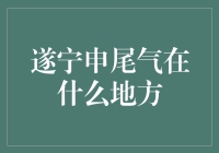 遂宁市尾气排放检测站分布解析与环保策略