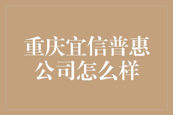 重庆宜信普惠公司怎么样