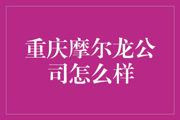 重庆摩尔龙公司怎么样