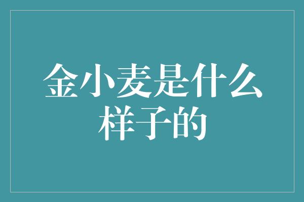 金小麦是什么样子的