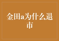 金田A的奇幻漂流记：一场从纳斯达克到二次元的传奇之旅