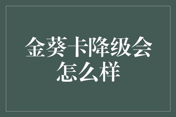 金葵卡降级会怎么样