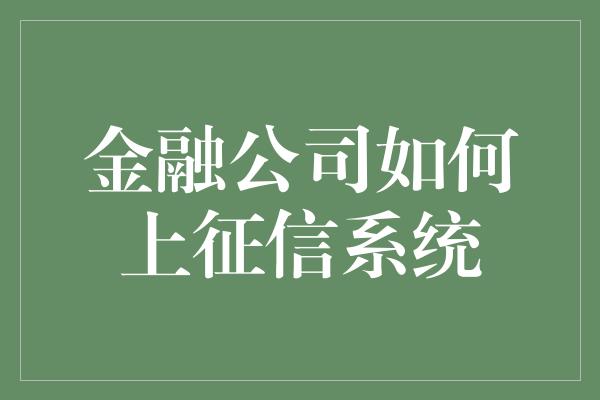 金融公司如何上征信系统