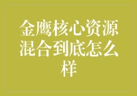 金鹰核心资源混合基金深度解析：表现与潜力并重