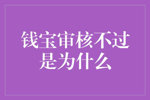 钱宝审核不过是为什么