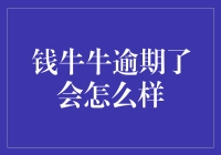 钱牛牛逾期还款的影响及应对策略