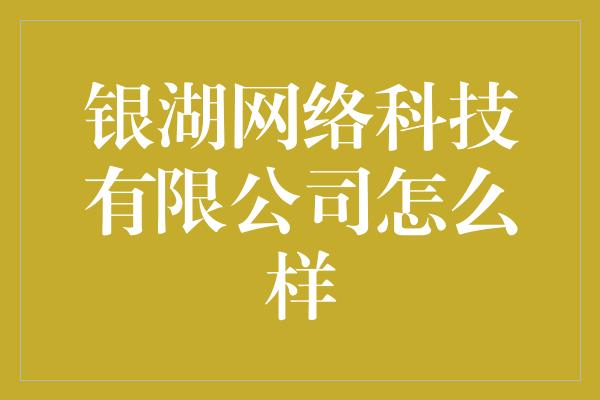 银湖网络科技有限公司怎么样