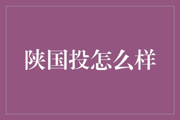 陕国投怎么样