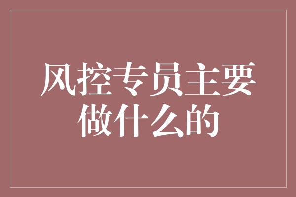 风控专员主要做什么的