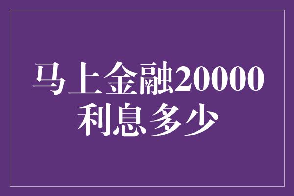 马上金融20000利息多少