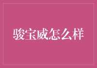 骏宝威，创新型保险科技驱动未来，为车主保驾护航