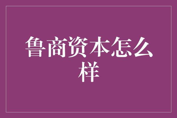 鲁商资本怎么样