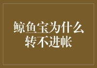 鲸鱼宝为何转不进账？理财新手的疑惑解决指南