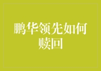 如何优雅地赎回鹏华领先：一场金融冒险记