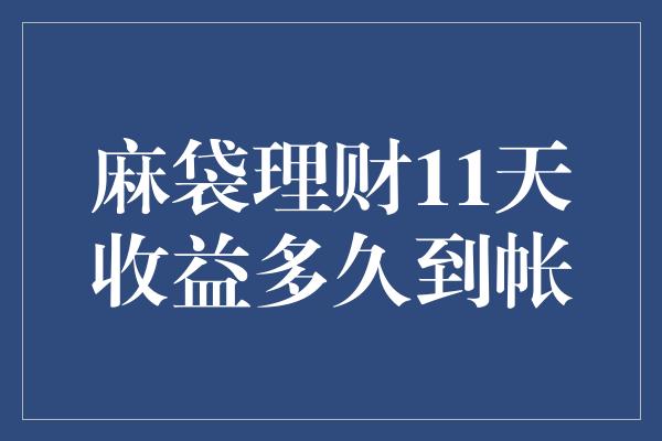 麻袋理财11天收益多久到帐