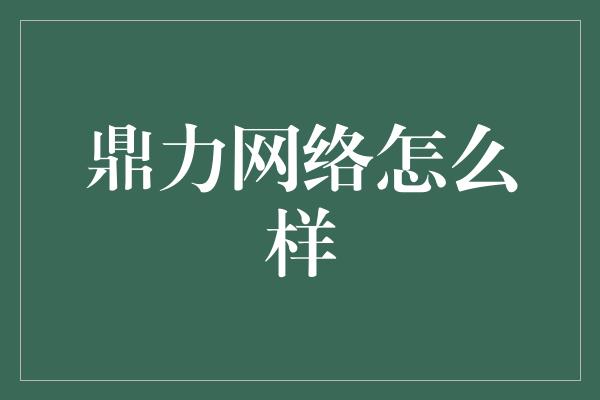 鼎力网络怎么样