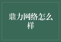 鼎力网络：全面解析其服务与技术优势