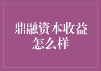 鼎融资本收益：一场真实的夺宝奇兵之旅