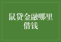 街头小老鼠：教你如何在鼠贷金融那里成功借钱，不输一只米粒！