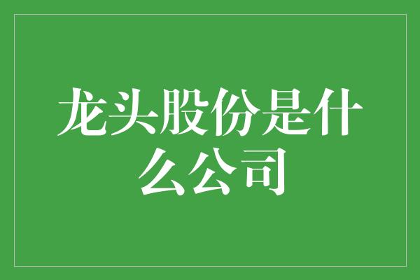 龙头股份是什么公司