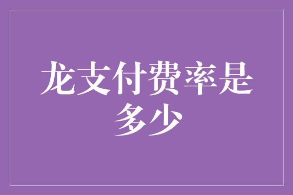 龙支付费率是多少