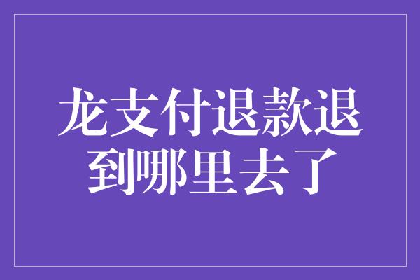 龙支付退款退到哪里去了