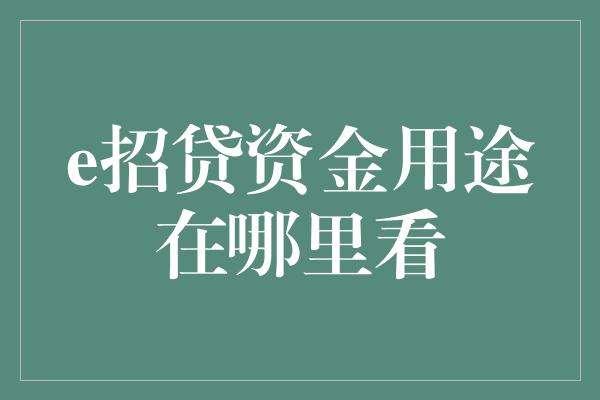 e招贷资金用途在哪里看