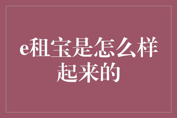 e租宝是怎么样起来的