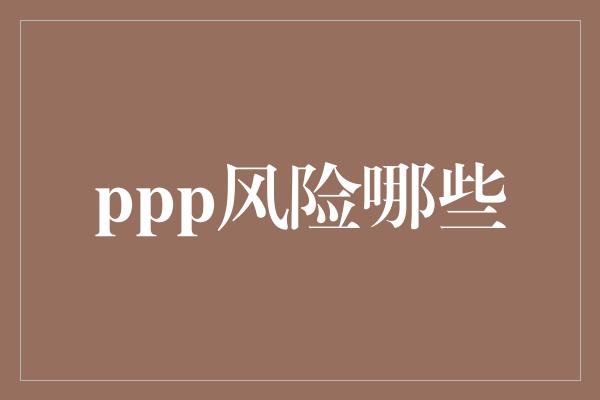 ppp风险哪些