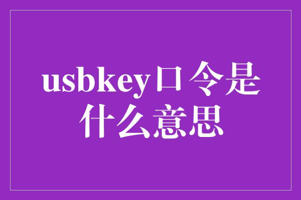 usbkey口令是什么意思