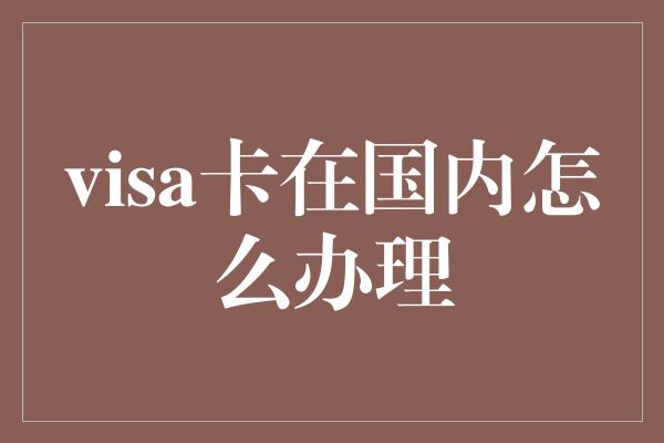 visa卡在国内怎么办理