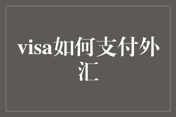 visa如何支付外汇